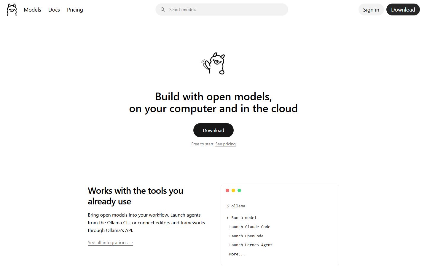Ollama Model Runner interface screenshot