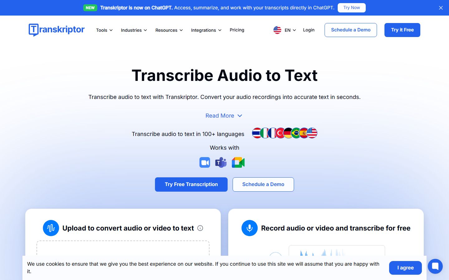 Transkriptor interface screenshot
